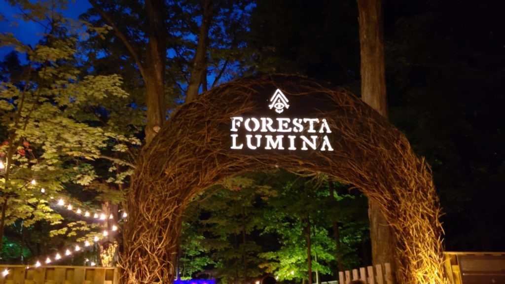 Visit Foresta Lumina in Montreal